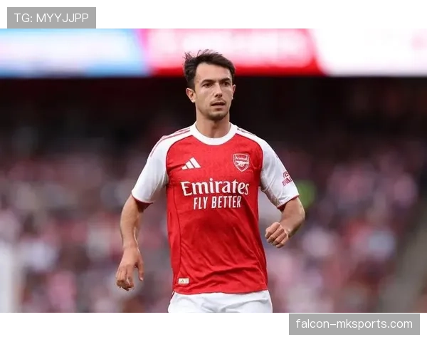 祖比门迪是否为体系球员:组织角色与个人能力适配性分析